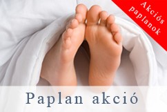 Paplan akció