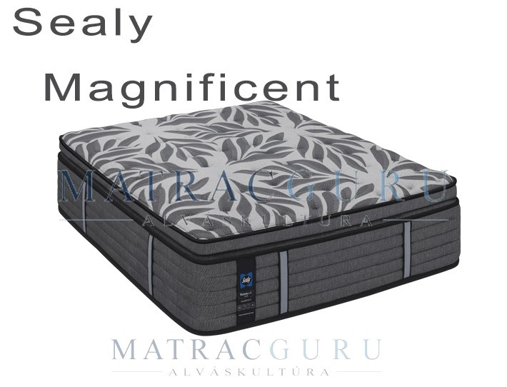 Sealy Magnificent matrac